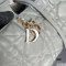 Dior Large Toujours Bag