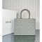 Dior Medium Book Tote