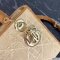 Medium Lady Dior Bag