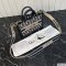 Dior Mini Book Tote