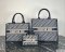 Dior Mini Book Tote