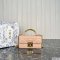 Dior Mini Ange Bag