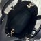 Dior Small Toujours Bag