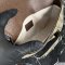 Gucci Horsebit 1955 Mini Shoulder Bag