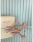 Jimmy Choo Aurelie Pumps