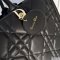Dior Large Book Tote