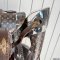 Louis Vuitton Christopher MM Backpack