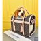 Louis Vuitton Dog Bag