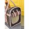 Louis Vuitton Dog Bag
