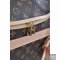 Louis Vuitton Dog Bag
