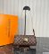 Louis Vuitton Eva Clutch Monogram