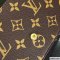 Louis Vuitton Felicie Strap & Go