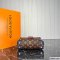 Louis Vuitton Petite Malle Souple
