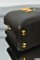 Louis Vuitton Capucines Mini Bag