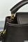 Louis Vuitton Capucines Mini Bag