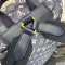 Louis Vuitton Christopher MM