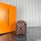 Louis Vuitton Dopp Kit Toilet Pouch