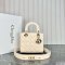 Dior Medium Lady Dior Bag