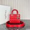 Dior Medium Lady Dior Bag