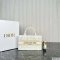 Dior Mini Book Tote