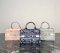 Dior Mini Book Tote