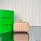 Bottega Veneta Plisse Knot Clutch
