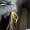 Prada Buckle Large Leather Handbag
