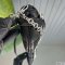 Gucci Horsebit Chain Small Shoulder Bag