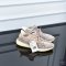 Adidas Yeezy Boost