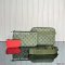 Louis Vuitton Trio Messenger