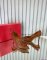 Valentino Garavani Women Pump