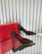 Valentino Garavani Women Pump