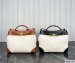 Bottega Veneta Small Andiamo