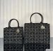 Dior Medium Book Tote