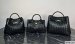 Bottega Veneta Small Andiamo