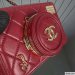 Chanel Camera Bag