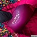 Chanel Cros Chan Bag