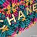 Chanel Cros Chan Bag
