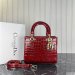 Dior Medium Lady Dior Bag