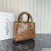 Dior Medium Lady Dior Bag