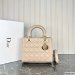 Dior Medium Lady Dior Bag