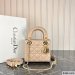 Dior Mini Lady Dior Bag