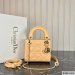 Dior Mini Lady Dior Bag