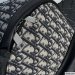 Christian Dior Rider Backpack Small