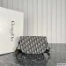 Dior CD Signature Bag with Strap