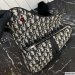 Christian Dior Saddle Bag