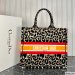 Dior Large Book Tote Multicolor