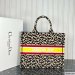 Dior Large Book Tote Multicolor