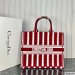 Dior Large Book Tote Multicolor
