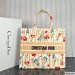 Dior Large Book Tote Multicolor